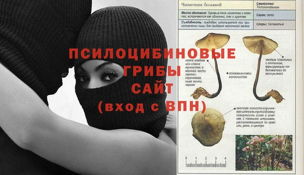 COCAINE Абаза