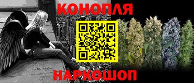 индика Ирбит