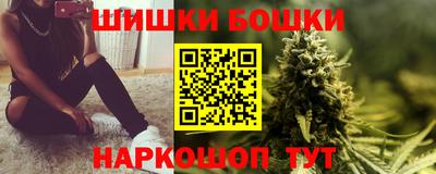 индика Ирбит