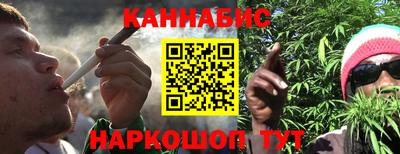 индика Ирбит