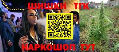 индика Ирбит