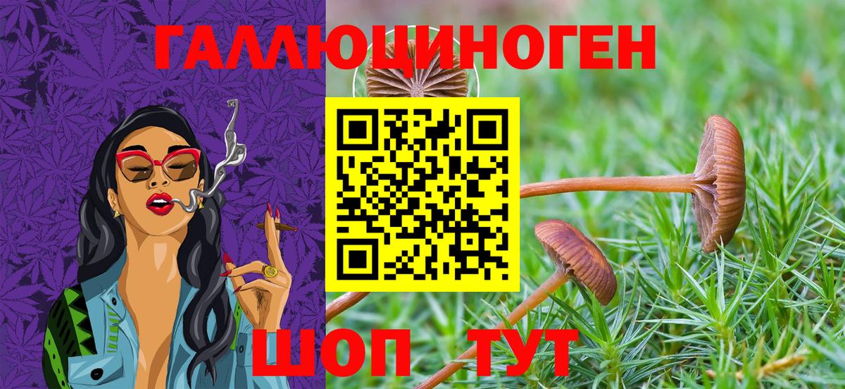 Ливны  Псилоцибиновые грибы Psilocybine cubensis  Вход с VPN 