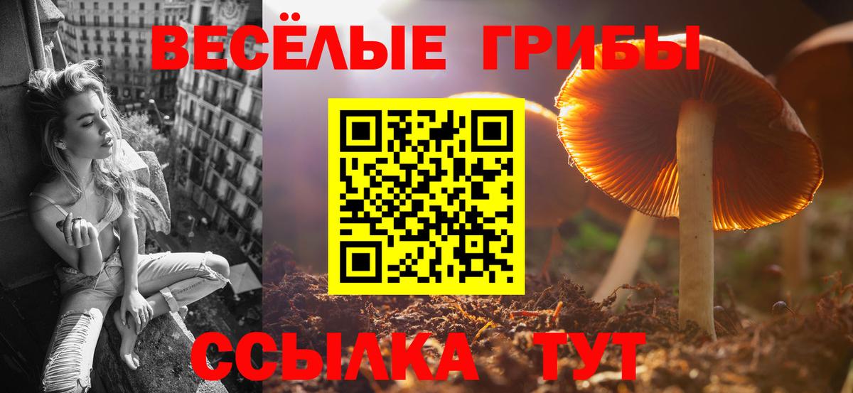 Псилоцибиновые грибы Cubensis Ливны